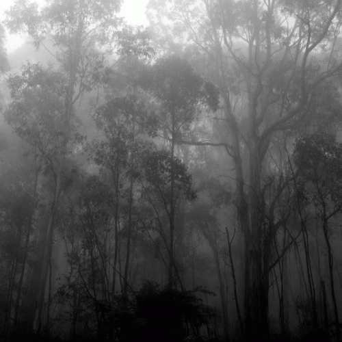 Suldusk : To a Vestige of Purest Light Suldusk : To a Vestige of Purest Light